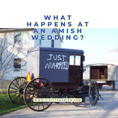 What Happens At An Amish Wedding.