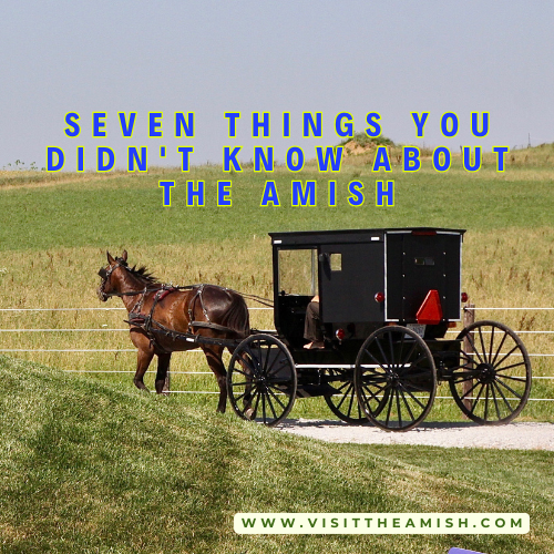 Seven Things You Didn't Know About The Amish