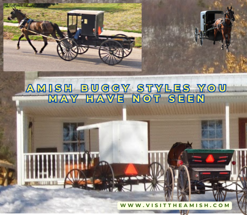 Amish Buggy Styles You May Have Not Seen.