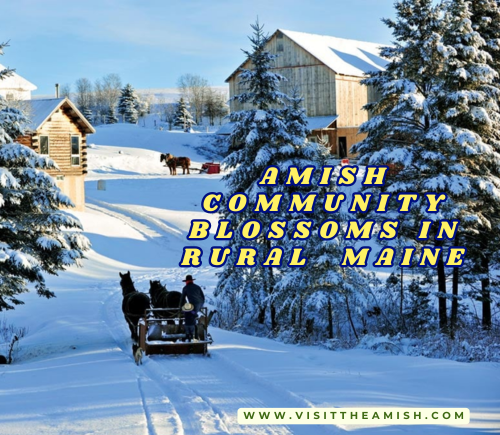 Amish Community Blossoms in Rural Wales, Maine A New Chapter in Simple Living