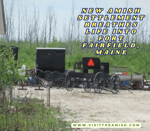 Amish Rural Revival New Amish Settlement Breathes Life into Fort Fairfield, Maine