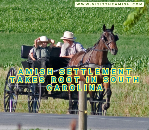 Amish Settlement Takes Root in South Carolina.