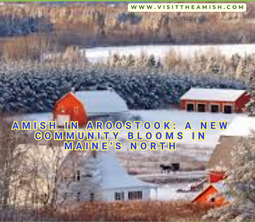 Amish in Aroostook: A New Community Blooms in Maine's North