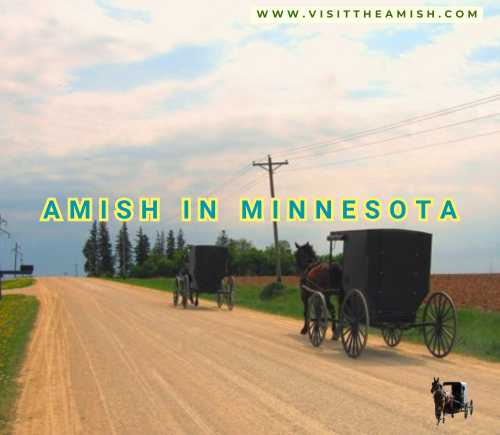 Amish, Minnesota, Bigfork, rural community, agriculture, farming, simple living, faith, traditional values, cultural diversity, Itasca County, new settlements, community building, adaptation, resilience, craftsmanship, education, healthcare, cultural integration, sustainable living