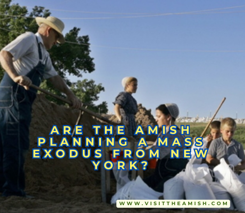 Are the Amish Planning To Leave New York?