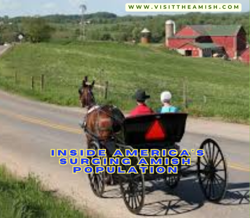 Beyond the Bonnet Inside America's Surging Amish Population