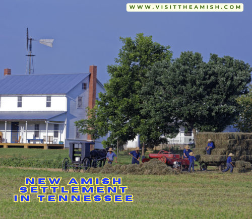 New Amish Settlement In Tennessee