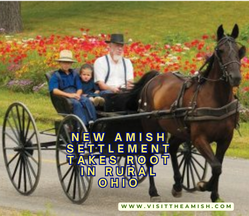 Amish settlement, rural Ohio, Morgan County, community growth, traditional values, economic revitalization, handcrafted furniture, local agriculture, horse-drawn buggies, family farms, woodworking shops, produce stands, dairy operation, community schoolhouse, zoning challenges, local economy, cultural dynamics, rural living, sustainable practices, small businesses.