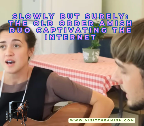 Slowly But Surely The Old Order Amish Duo Captivating the Internet.