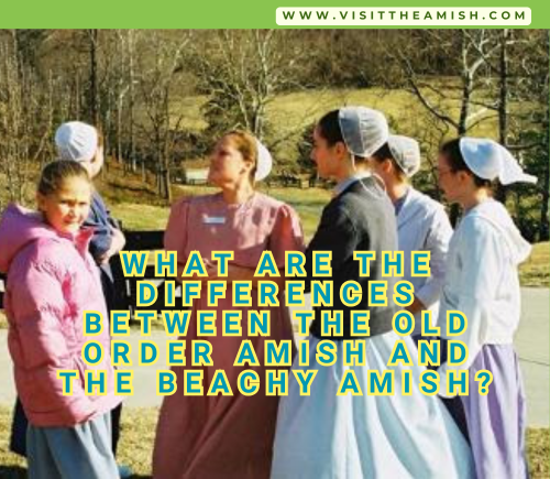 What Are The Differences Between The Old Order Amish And The Beachy Amish