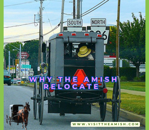 Why the Amish Relocate