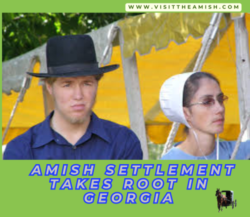 Georgia Amish