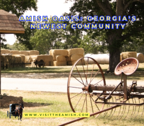 Amish-Oasis-Georgias-Newest-Community