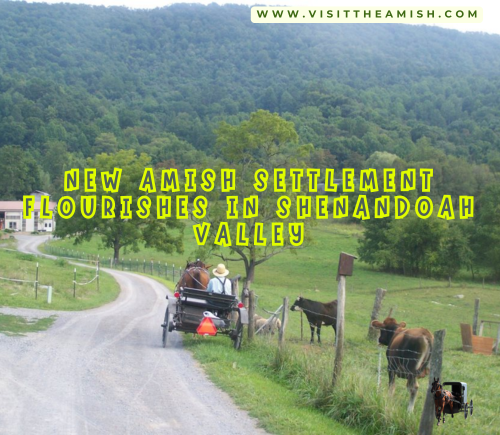 New Amish Settlement Flourishes in Shenandoah Valley