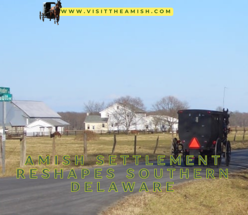 New Amish Settlement Brings Tradition to Delaware's Shore