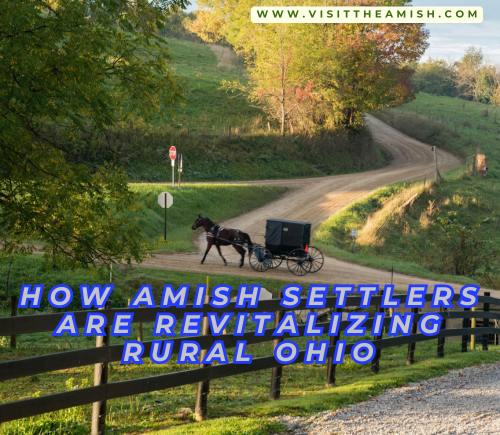 How Amish Settlers Are Revitalizing Rural Ohio