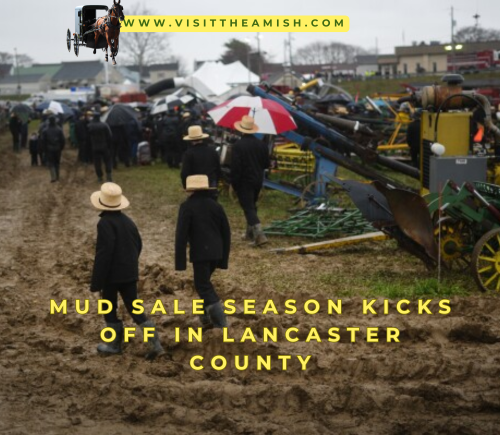 Mud Sale Season Kicks Off in Lancaster County