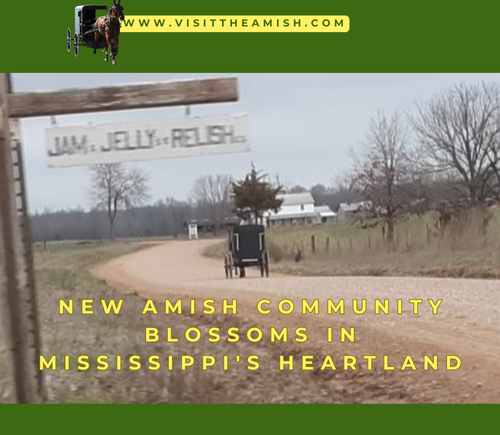 New-Amish-Community-Blossoms-in-Mississippis-Heartland