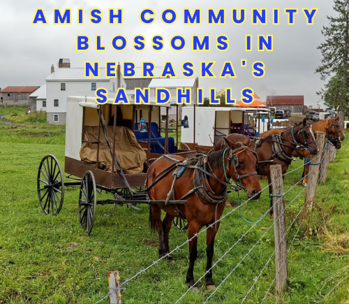 Simplicity and Success: The Surprising Growth of Nebraska's Amish Community