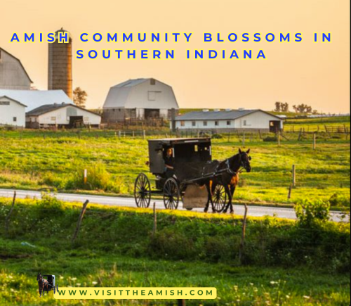 Amish Community Blossoms in Southern Indiana