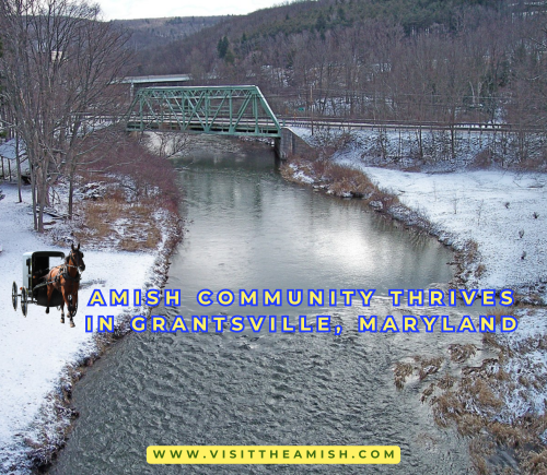 Amish Community Thrives in Grantsville, Maryland.