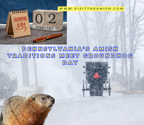 Amish Traditions Meet Groundhog Day.