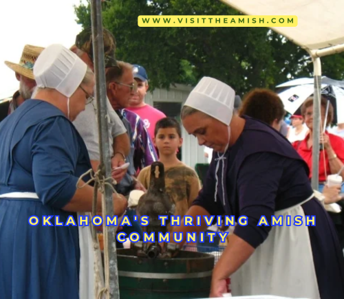 From Buggies to Bakeries Inside Oklahoma's Thriving Amish Community