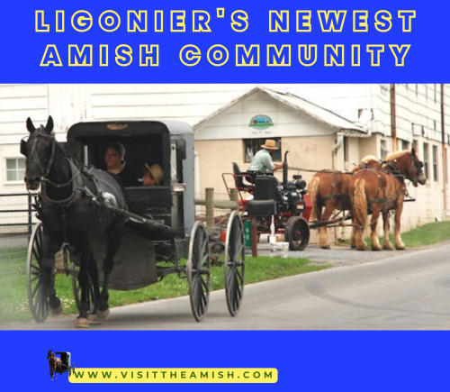 Ligoniers-Newest-Amish-Community