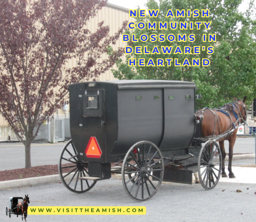 New Amish Community Blossoms in Delaware's Heartland.