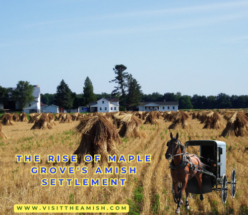 Simple-Living-Thriving-Community-The-Rise-of-Maple-Groves-Amish-Settlement