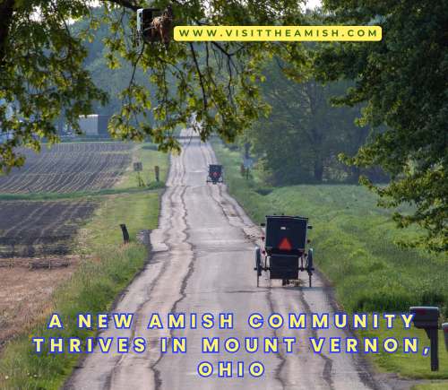 A New Amish Community Thrives in Mount Vernon, Ohio