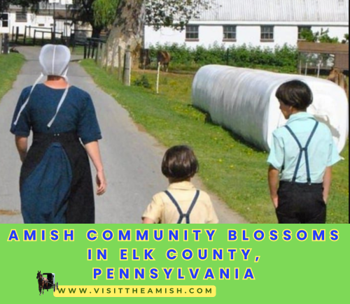 Amish Community Blossoms in Elk County, Pennsylvania