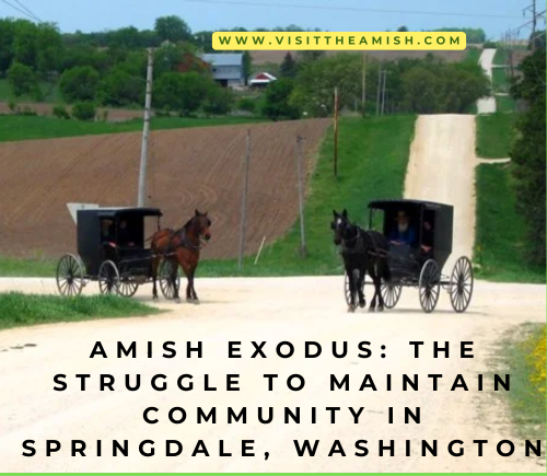 Amish Exodus The Struggle to Maintain Community in Springdale, Washington