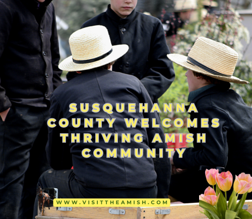 susquehanna County Welcomes Thriving Amish Community