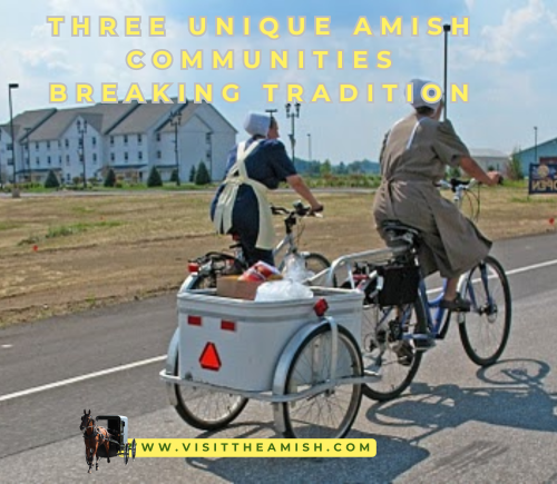 Three Unique Amish Communities Breaking Tradition A Look at Unconventional Settlements