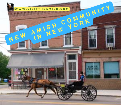 Amish community New York, New York Amish settlement, upstate New York Amish, Amish farming New York, Amish dairy farms, Amish businesses New York, Amish Peddler Clarence, Amish furniture New York, Amish cheese New York, Amish produce markets, New York rural revitalization, Amish population growth, Amish traditions New York, Amish and local relations, Amish benefit suppers, Amish crafts New York, Amish real estate impact, Amish building codes, Amish school New York, Amish cultural exchange, Amish lifestyle New York