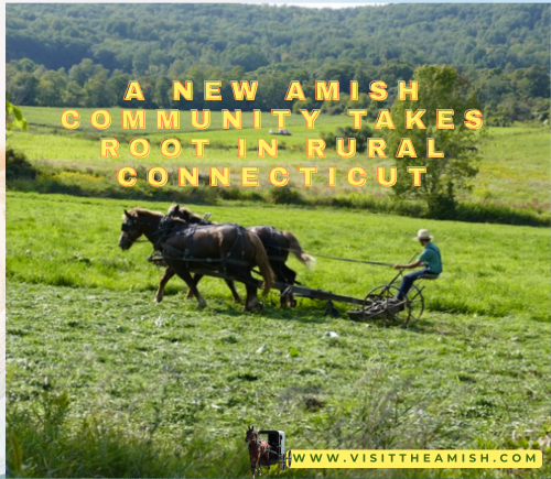 A New Amish Community Takes Root in Rural Connecticut