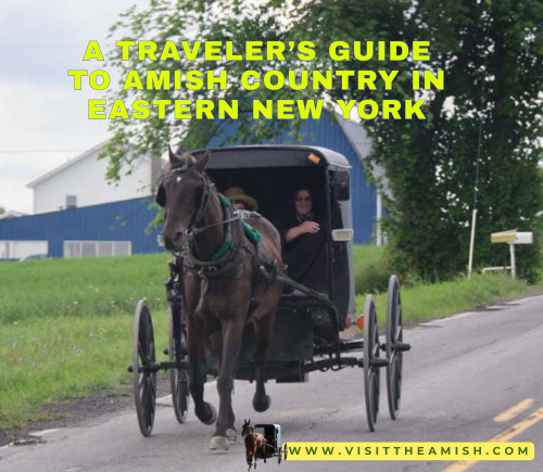 Amish ny