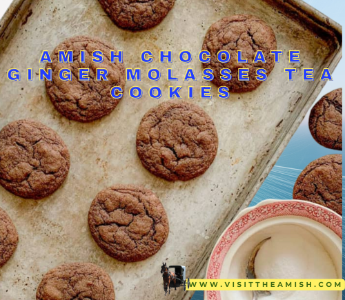 Amish Chocolate Ginger Molasses Tea Cookies.