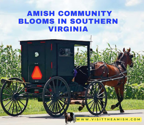 Amish Community Blooms in Southern Virginia