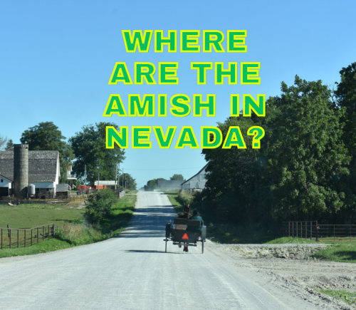 Amish finding a home well off the beaten path in Nebraska's Sandhills • Nebraska Examiner
