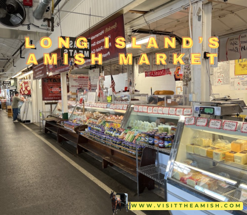 Amish market on Long Island