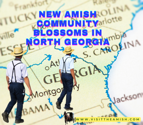New Amish Community Blossoms in North Georgia: Tradition, Enterprise, and Southern Hospitality