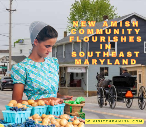 New Amish Community Flourishes in Southeast Maryland.