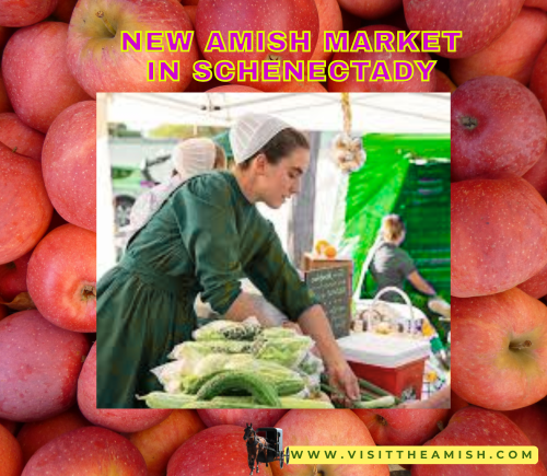 Amish market Schenectady, Schenectady Greenmarket, Schenectady farmers market, Amish vendors NY, local produce Schenectady, handmade Amish goods, farm-to-table Schenectady, downtown Schenectady market, Amish bread NY, Amish crafts Schenectady, Assembly Coffee Roasters, Schenectady Trading Company, local businesses Schenectady, EBT farmers market NY, fresh food access Schenectady, community market Schenectady, Sunday market Schenectady, New York Amish market, artisan goods Schenectady, family-friendly market Schenectady,