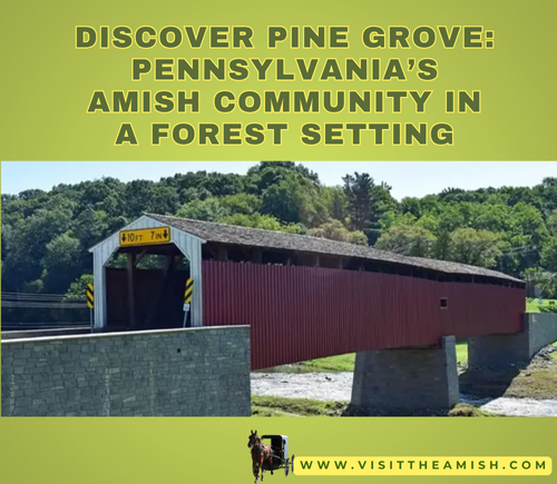 Discover Pine Grove: Pennsylvania’s Amish Community in a Forest Setting