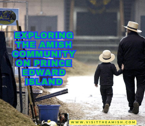 Exploring the Amish Community on Prince Edward Island