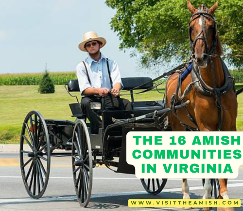 The Amish in Virginia Today