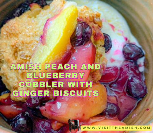 Amish Peach and Blueberry Cobbler with Ginger Biscuits