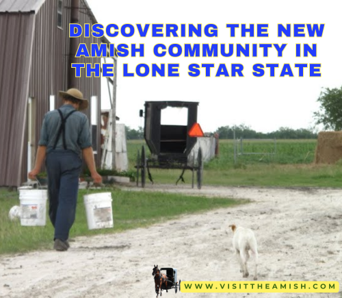 Discovering the New Amish Community in the Lone Star State